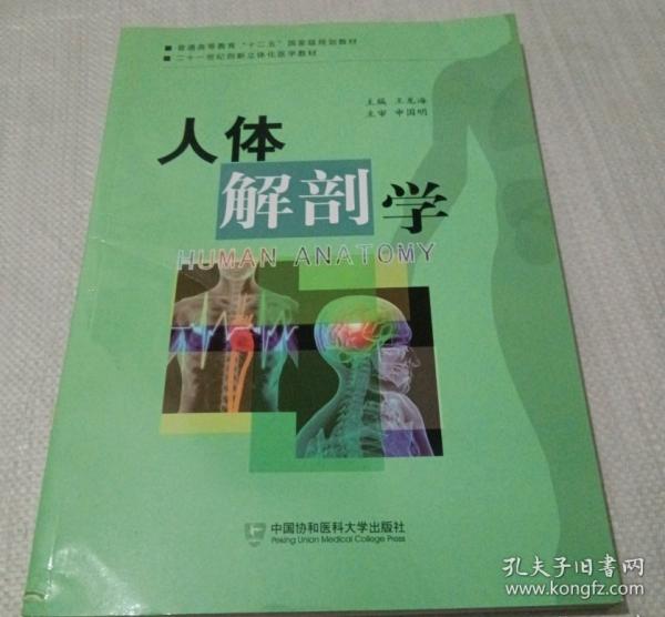 人體解剖學