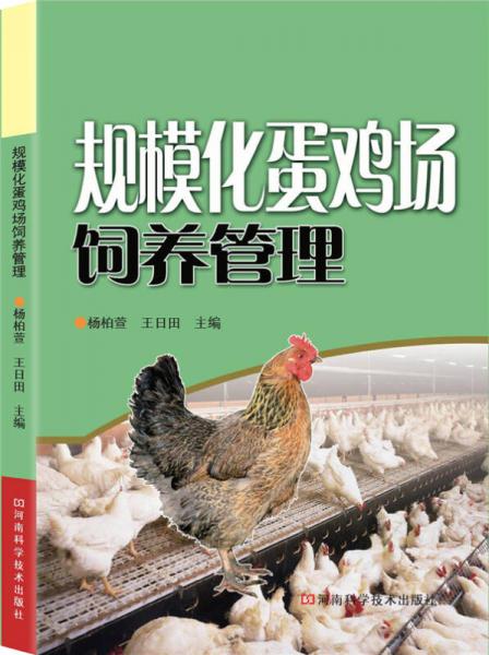 規(guī)模化蛋雞場飼養(yǎng)管理