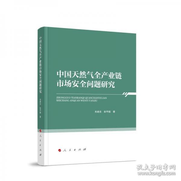 中國天然氣全產(chǎn)業(yè)鏈?zhǔn)袌霭踩珕栴}研究