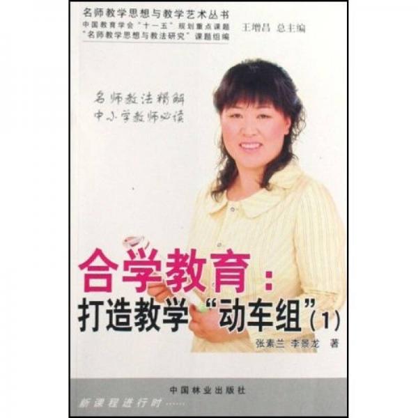 名師教學(xué)思想與教學(xué)藝術(shù)叢書(shū)·合學(xué)教育：打造教學(xué)“動(dòng)車(chē)組”1