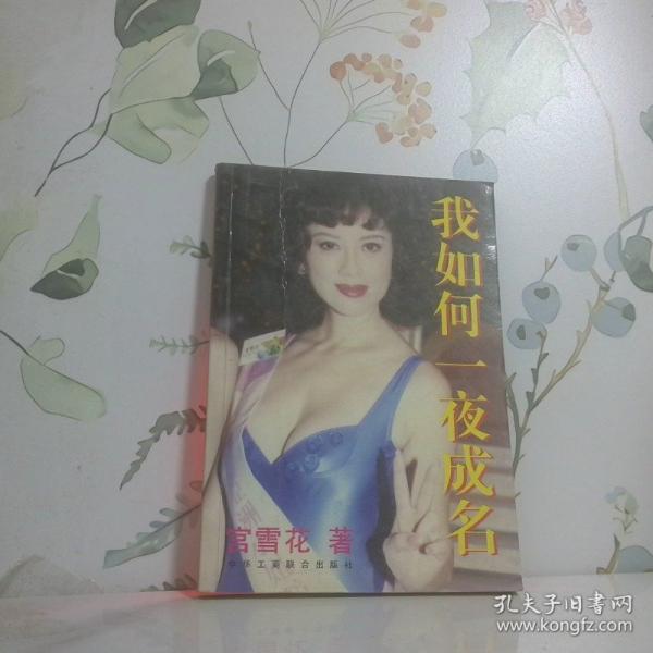 我如何一夜成名