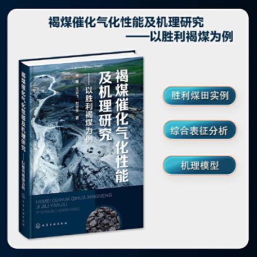 褐煤催化氣化性能及機(jī)理研究——以勝利褐煤為例
