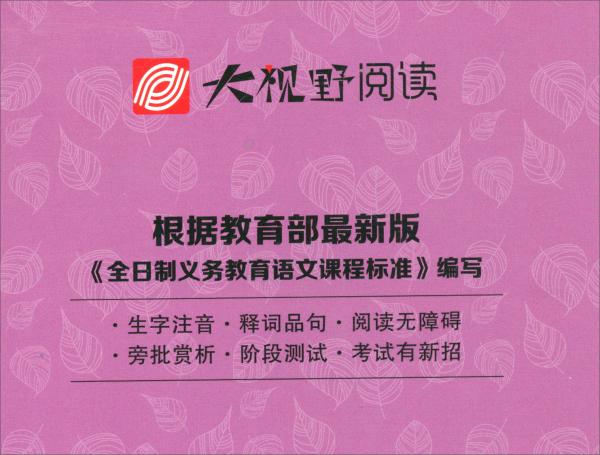 湯姆·索亞歷險(xiǎn)記/大視野閱讀
