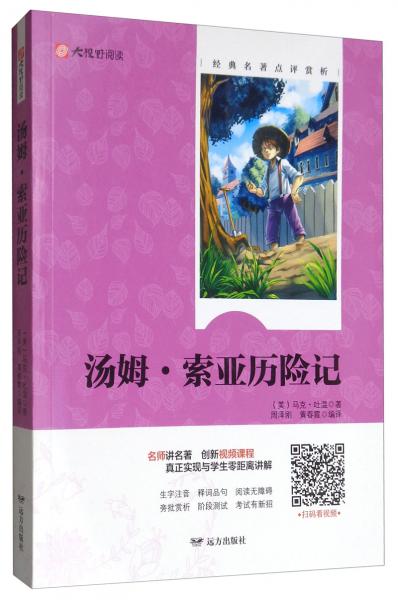 汤姆·索亚历险记/大视野阅读