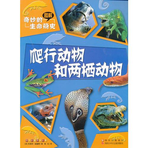 奇妙的生命簡史 爬行動物和兩棲動物