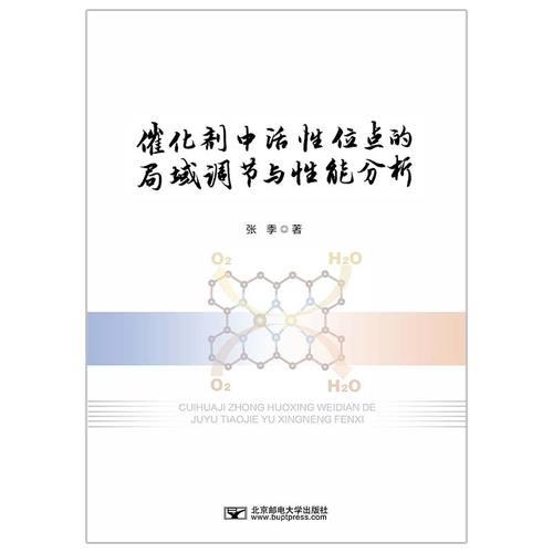 催化劑中活性位點(diǎn)的局域調(diào)節(jié)與性能分析