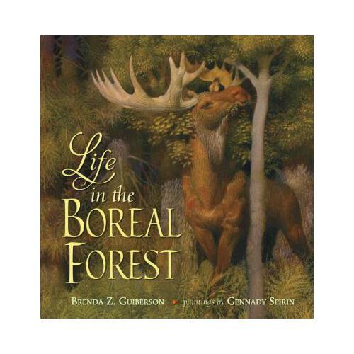 Life in the Boreal Forest