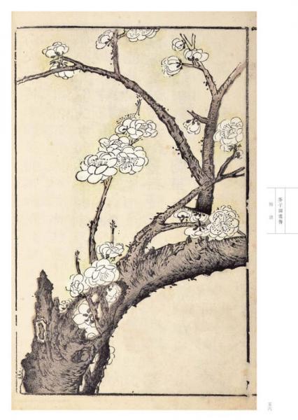 芥子园画传 花鸟卷·梅谱