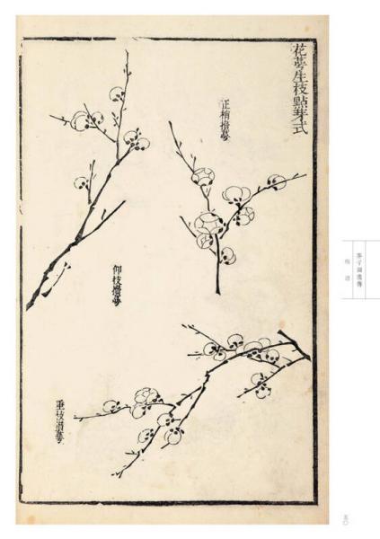 芥子园画传 花鸟卷·梅谱