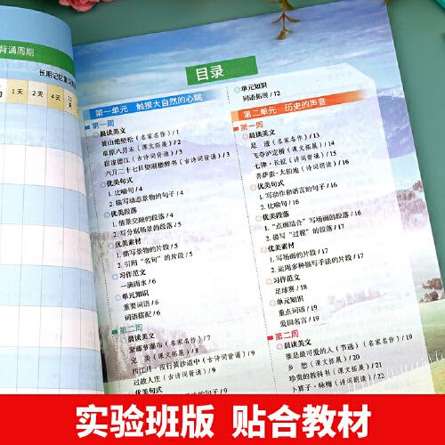 2023秋 六年级上册语文晨读美文注音版小学生每日晨读美文晚诵带拼音的课外阅读六年级上晨读美文实验班版