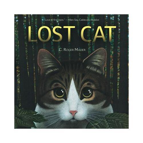 【预订】Lost Cat