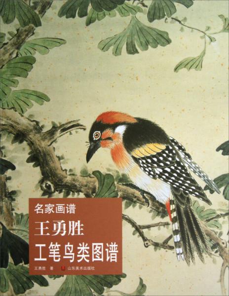 名家畫(huà)譜：王勇勝工筆鳥(niǎo)類圖譜