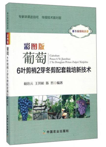 彩圖版葡萄6葉剪梢2芽冬剪配套栽培新技術(shù)（聽專家田間講課）