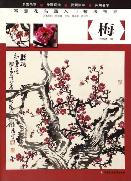 寫意花鳥畫入門技法指導：梅