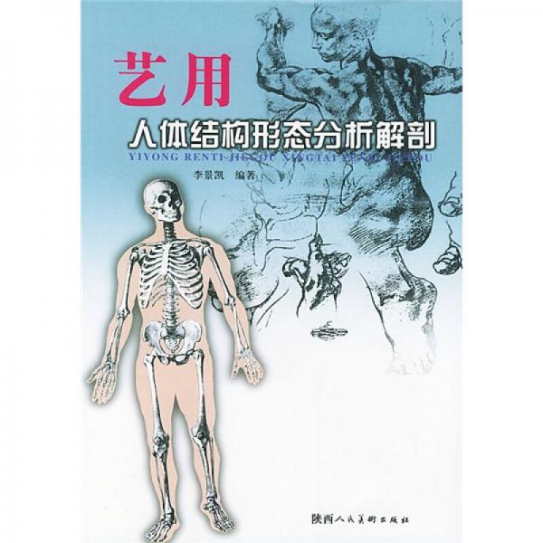 藝用人體結(jié)構(gòu)形態(tài)分析解剖