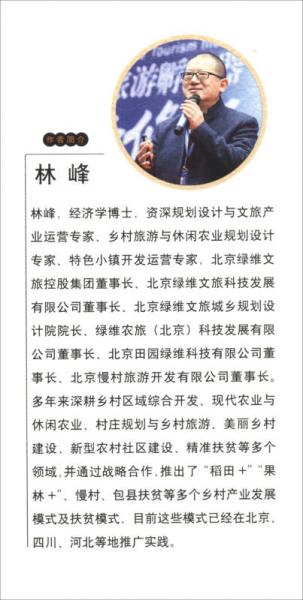 乡村振兴战略规划与实施/绿维文旅控股集团绿维开发运营丛书