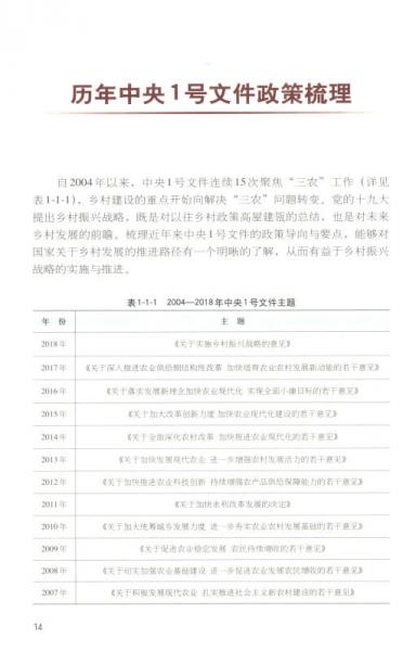 乡村振兴战略规划与实施/绿维文旅控股集团绿维开发运营丛书