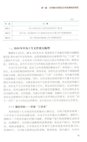 乡村振兴战略规划与实施/绿维文旅控股集团绿维开发运营丛书