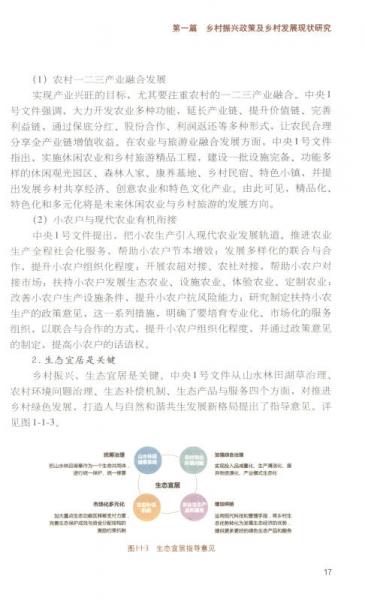 乡村振兴战略规划与实施/绿维文旅控股集团绿维开发运营丛书