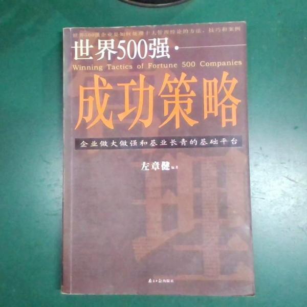 世界500强成功策略:企业做大做强和基业长青的基础平台