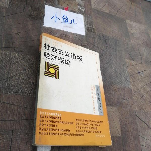 社會主義市場經(jīng)濟(jì)概論