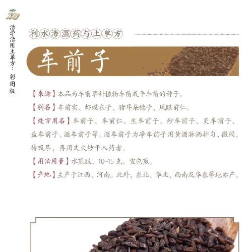 活学活用的土单方 偏方大全药材中药中简单实用民间实用土单方草药书正版中国土单方医书大全