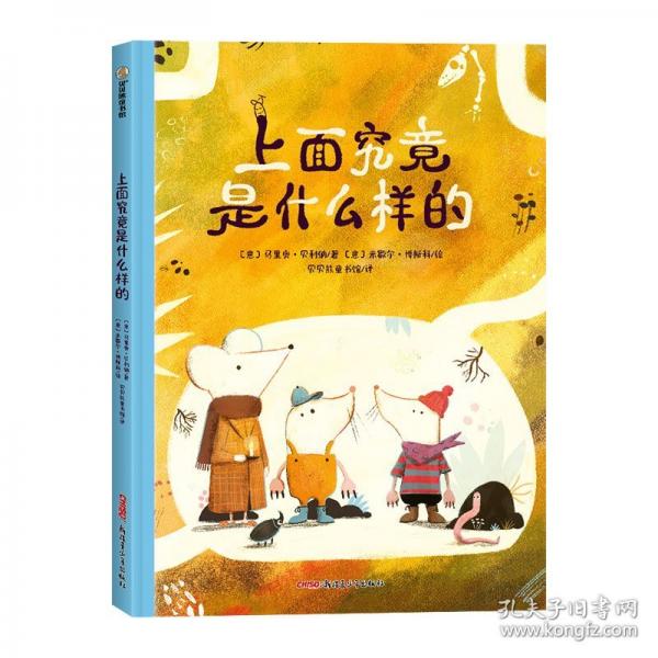 上面究竟是什么樣的
