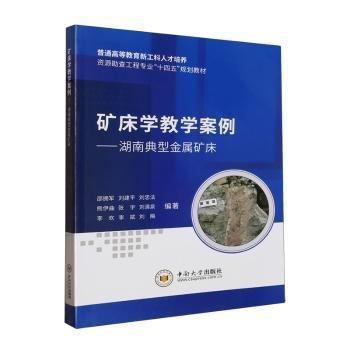 礦床學(xué)教學(xué)案例--湖南典型金屬礦床(普通高等教育新工科人才培養(yǎng)資源勘查工程專業(yè)十四五規(guī)劃教材)