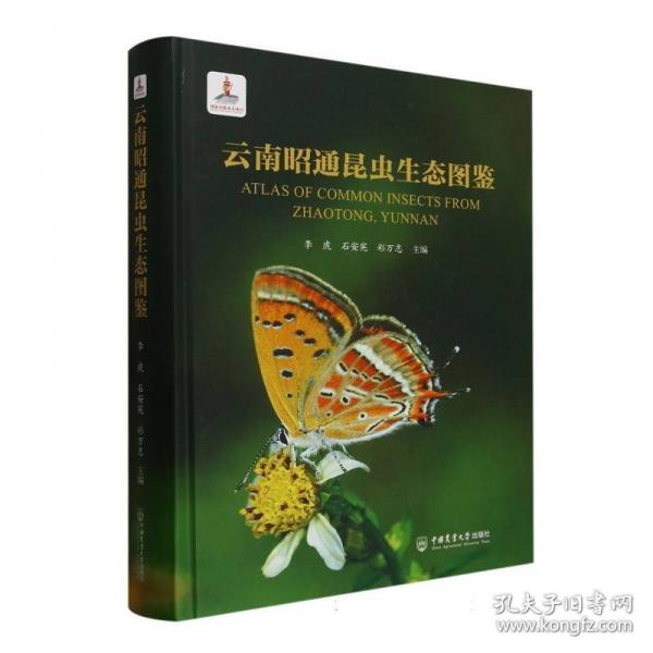 云南昭通昆蟲生態(tài)圖鑒