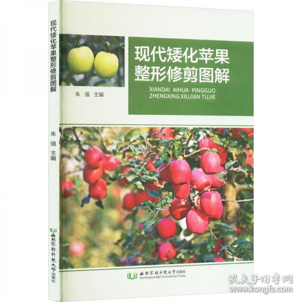 現(xiàn)代矮化蘋果整形修剪圖解