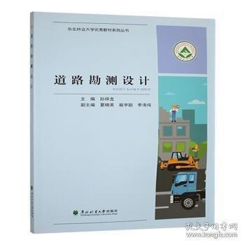 道路勘測(cè)設(shè)計(jì)