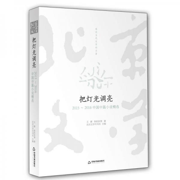 把燈光調(diào)亮 2015~2016中國(guó)中篇小說(shuō)精選