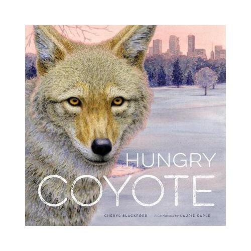 Hungry Coyote