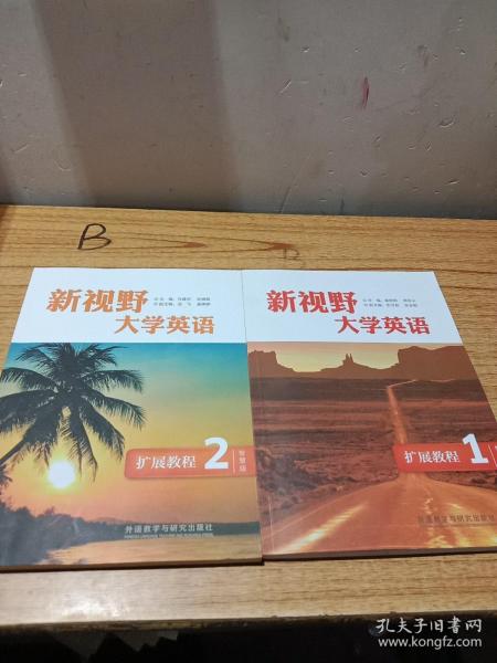 新视野大学英语