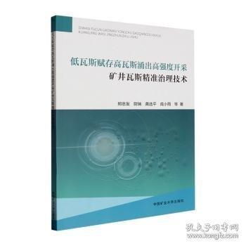 低瓦斯賦存高瓦斯涌出高強(qiáng)度開(kāi)采礦井瓦斯精準(zhǔn)治理技術(shù)
