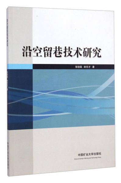 沿空留巷技術(shù)研究