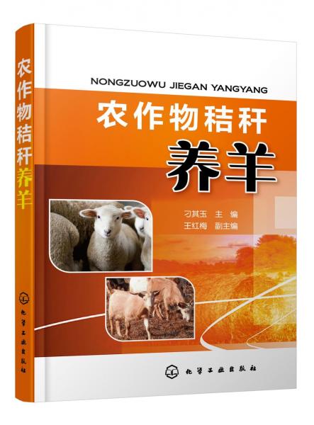 農(nóng)作物秸稈養(yǎng)羊 