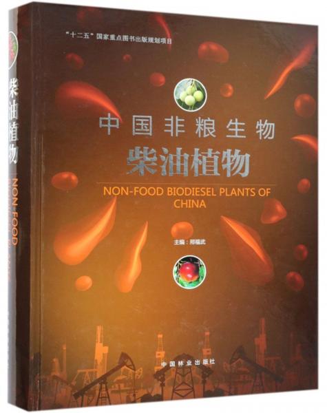 中国非粮生物柴油植物
