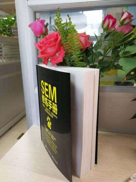 SEM修炼手册：百度竞价、信息流广告、数据分析与专题页策划实战详解