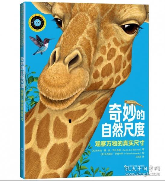 奇妙的自然尺度——觀察萬物的真實尺寸