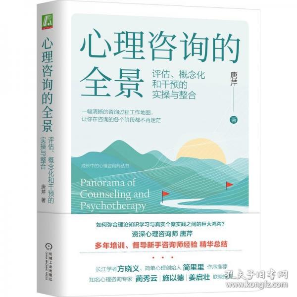 心理咨詢的全景：評(píng)估、概念化和干預(yù)的實(shí)操與整合