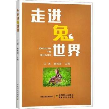 走進(jìn)兔世界