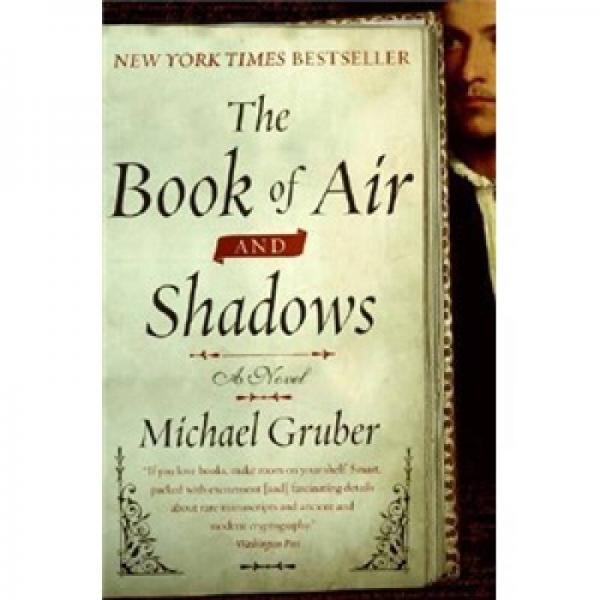 The Book of Air and Shadows: A Novel