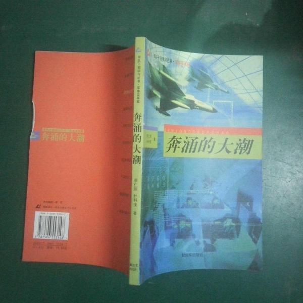 奔涌的大潮