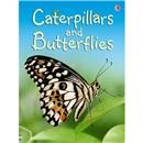 CaterpillarsandButterflies
