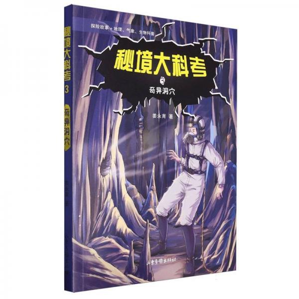 奇異洞穴 