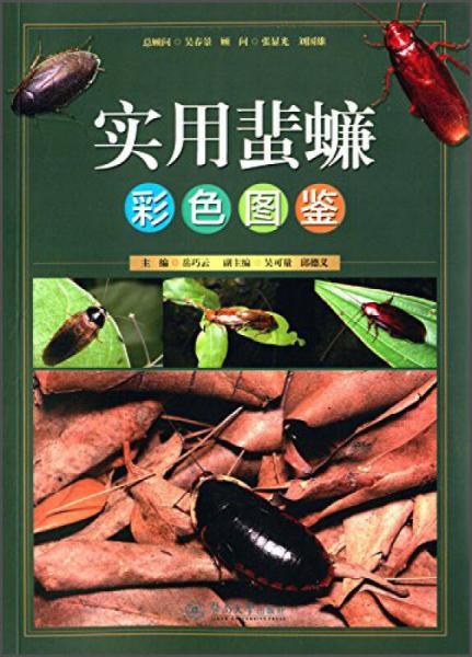 實用蜚蠊彩色圖鑒