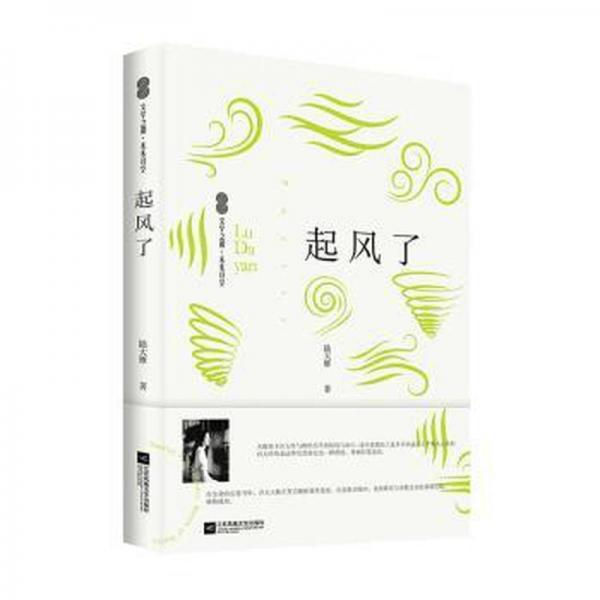 全新正版圖書(shū) 起風(fēng)了陸大雁江蘇鳳凰文藝出版社9787559472090