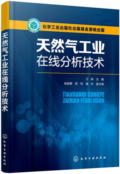 天然氣工業(yè)在線分析技術(shù)