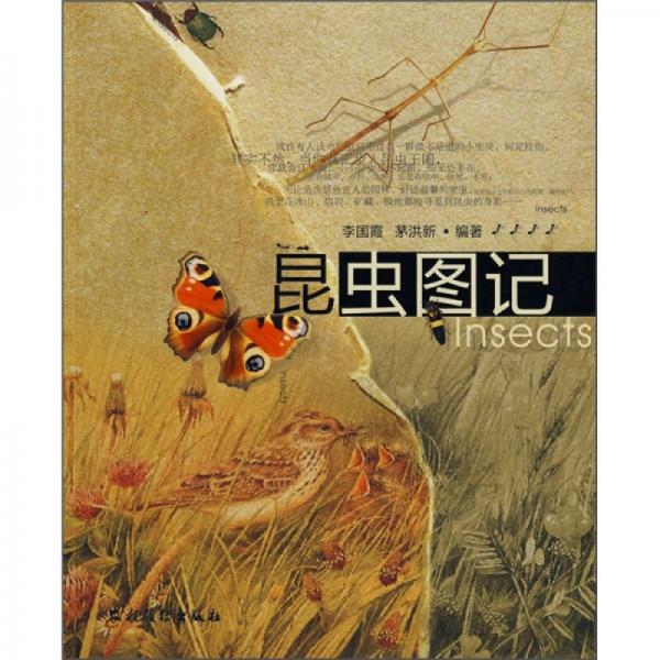 昆蟲圖記